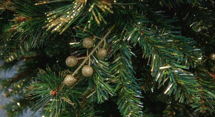 Készpénzt nem minden kassza fogad el, a fiatalok helyesírása botrányos – ezeket írták olvasóink