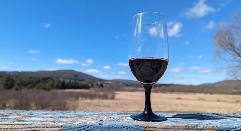 Az újbor mennyisége tíz százalékkal nőtt