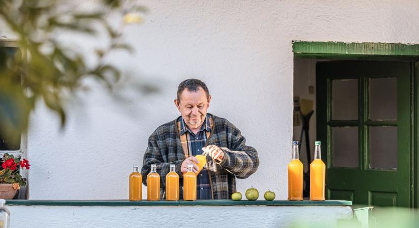 Majthényi László: A föld megvéd, a kemence lelassítja az időt