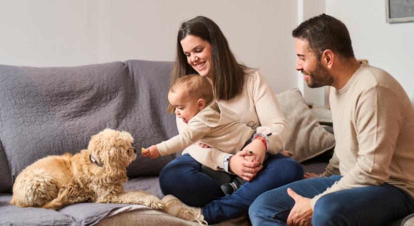 Több mint százezer édesanyának lett könnyebb az élete