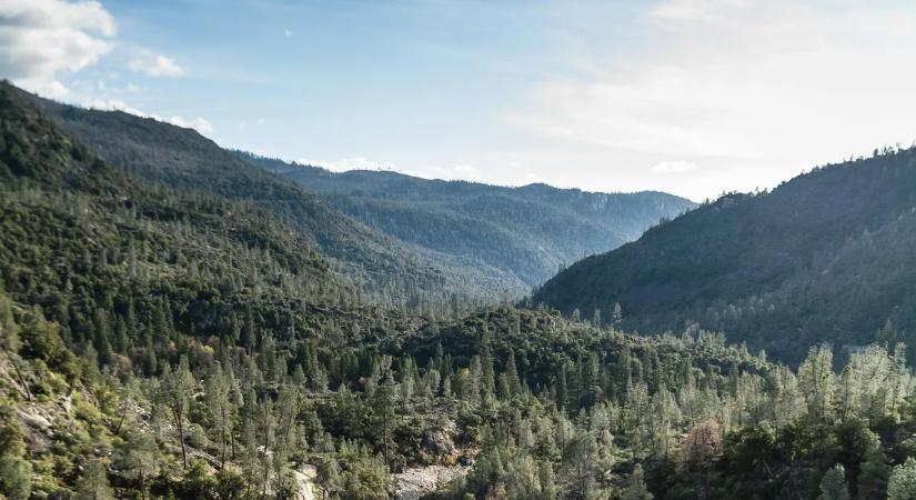 Állati takarmányon tartotta gyerekeit a gyermekrabló apa – négy évig bujkáltak a vadonban