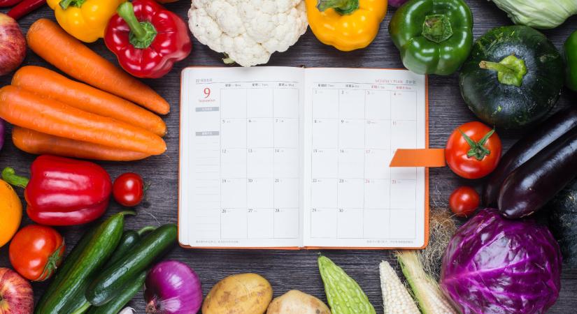 Kertőrültek figyelem! Így állítson össze vetési naptárt a teljes évre