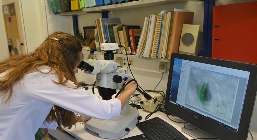 Így lehet eltávolítani házilag a mikroműanyagokat a vízből