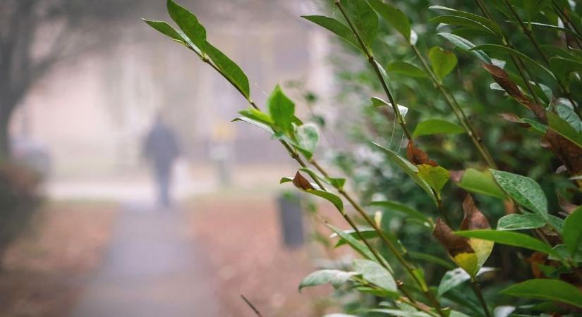 Szét fogunk ázni 2026-ban? Nagyon úgy fest!