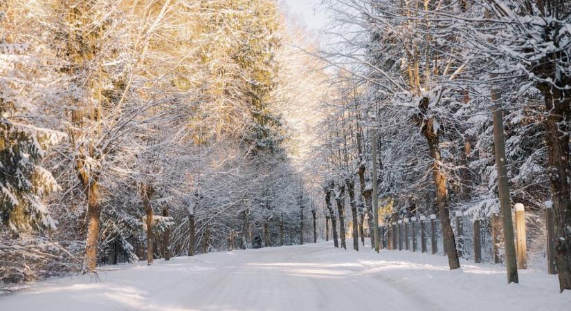 Havazás és szél: válsághelyzet több erdélyi megyében