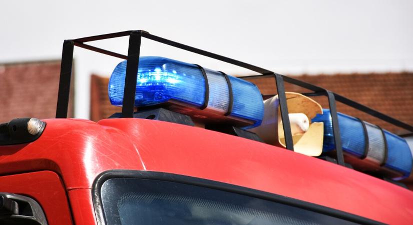 Kigyulladt autó és aknába esett póni - szilveszterkor sem pihentek a tűzoltók