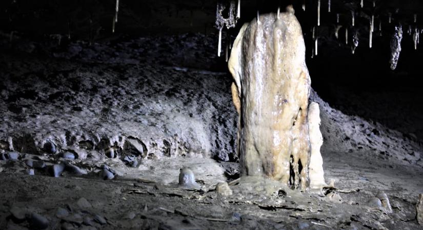 Egyetlen matematikai szabályt követnek a cseppkövek