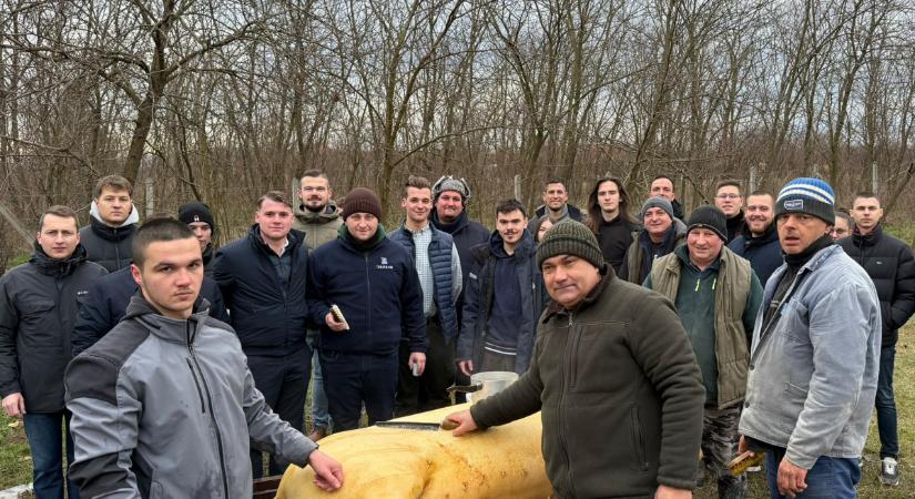 Disznóvágás, Kósa Lajos – így védték ma a hazát fiataljaink a háborúval és a migránsokkal szemben