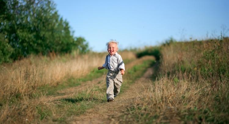 Újranyílnak a kistelepülés-fejlesztési pályázatok