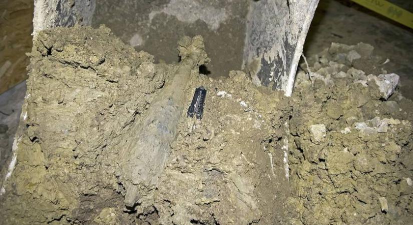 Komoly veszélyt jelentenek ezek a háborús tárgyak Magyarországon – itt került elő a legtöbb