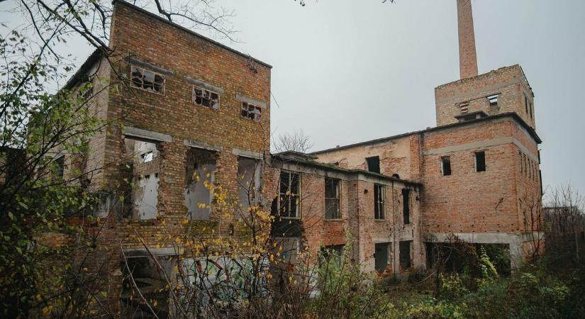 Ez lett az egykor szebb napokat látott Dunaföldvári Kendergyárból (képek)