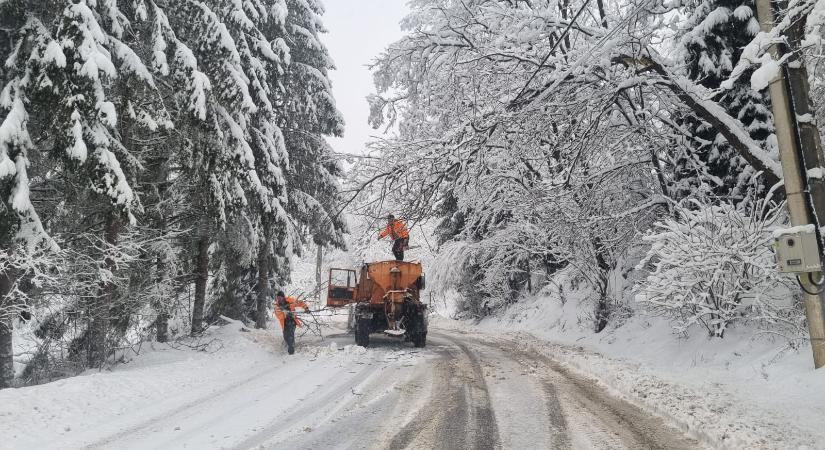 Több mint 44 ezer fogyasztó maradt áram nélkül a szélsőséges időjárás következtében