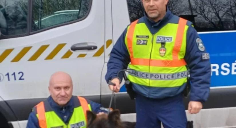 Rendőrök mentették meg az M7-esen kóborló, barátságos kutyust