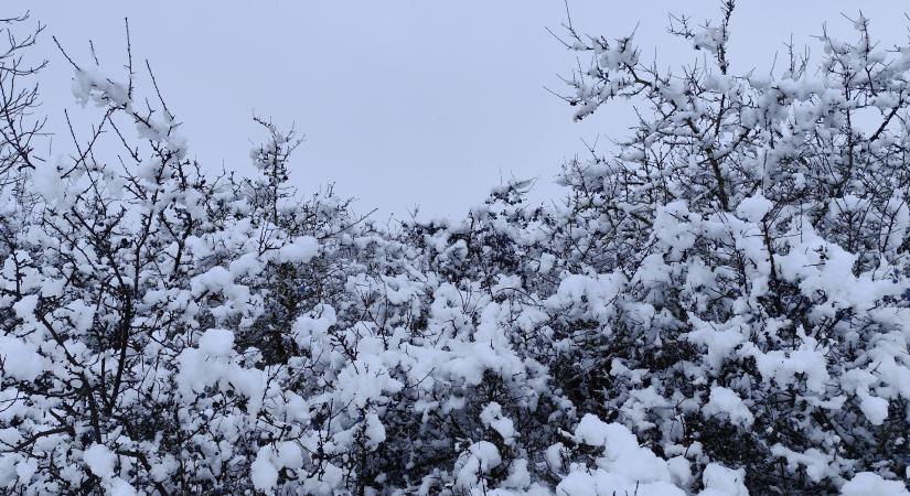 Így segíti a hó a Föld energiaegyensúlyát