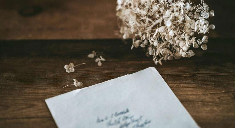 Levél annak, aki mégsem érkezett meg (Olvasói írás)