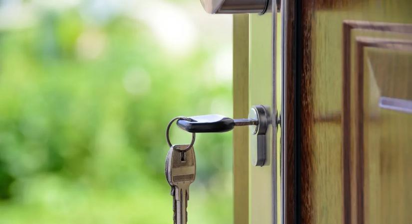 Az elszökött kutyáját követte a 4 éves kisfiú, az erdőben találták meg