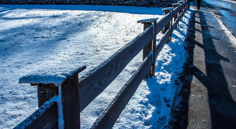 Lehet baja a növényeknek a járda téli sózásától?