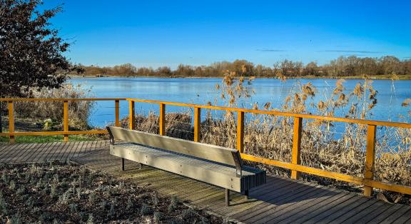 Vízimadarak és a fővárosiak oázisa