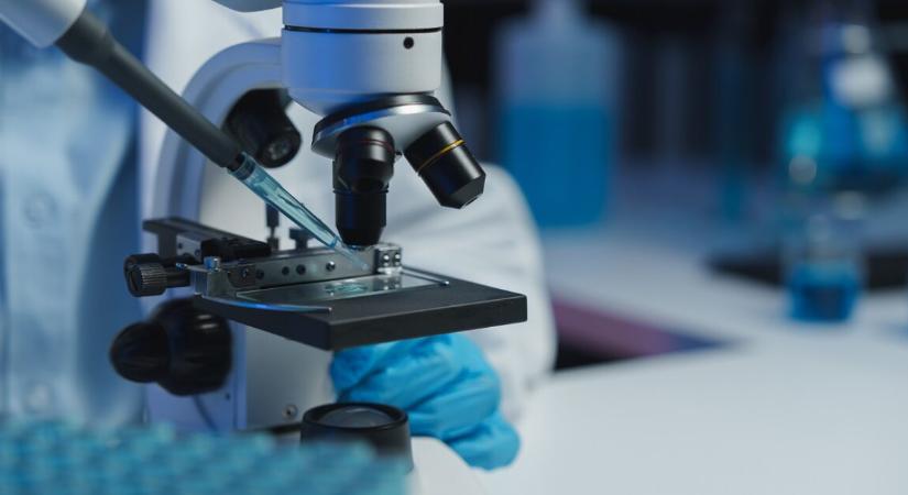 Közel 60 év után találták meg az eltűnt férfi maradványait – kiderült, mi történt vele