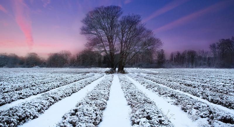 Folytatódik a változékony téli idő