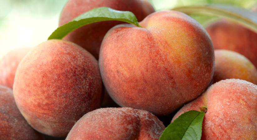 Lassan eltűnik a magyar gyümölcs: mi lesz helyette a boltokban, piacokon?