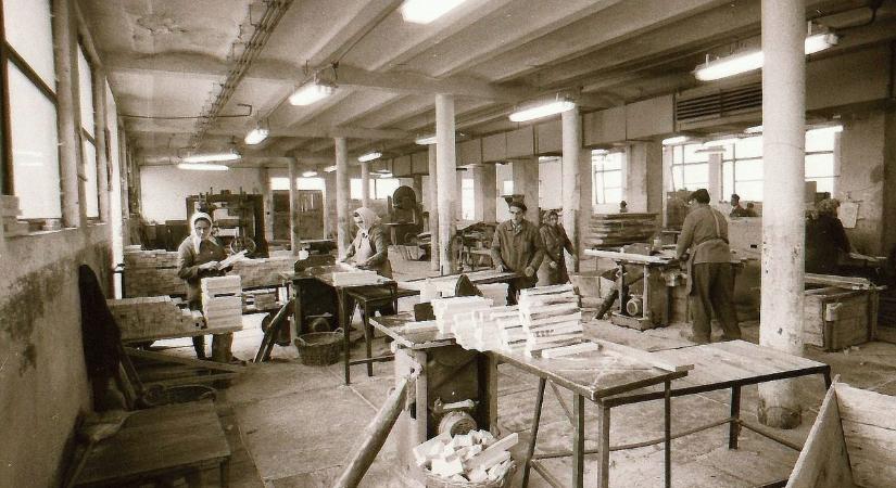 Valaha több mint száz ember dolgozott itt – ma romhalmaz a csibráki parkettagyár (fotókkal)