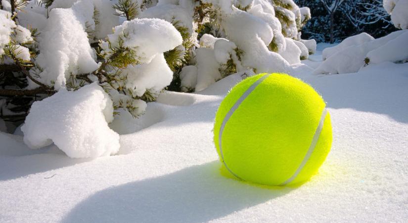 Zseniális trükk: Ezért érdemes télen teniszlabdát tenni a kertbe