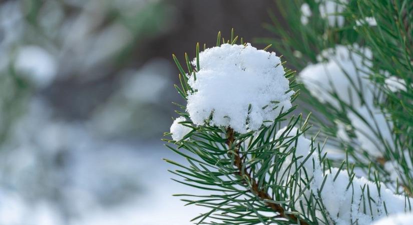 Havazással zárulhat az év első hete