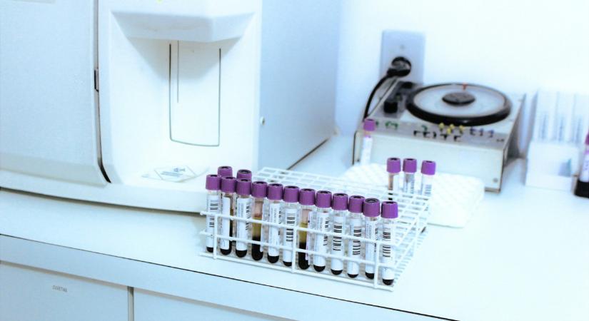 Villámgyorsan terjed a rémisztő szupergomba, már 7 ezer embert megfertőzött