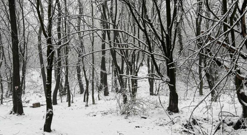 Hidegrekord Bábolnán: mínusz 27,5 fokkal írta be magát a történelembe a település