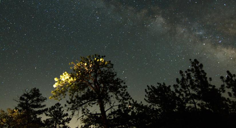 Heti horoszkóp január 5-11.: a Skorpiók megugorhatatlannak tűnő célt elérését tűzik ki maguk elé, a Bakok megvédhetik az érdekeiket