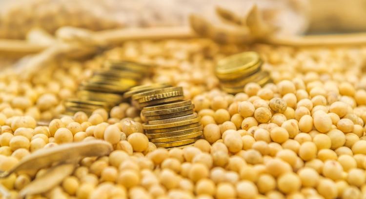 Beadja a derekát az ukrán szója is, esnek az árak