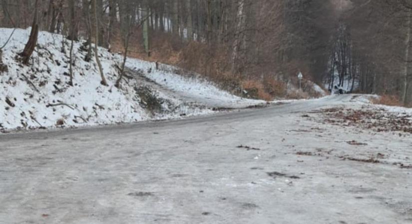 Balesetveszélyre és útlezárásra figyelmeztet a szombathelyi erdészet