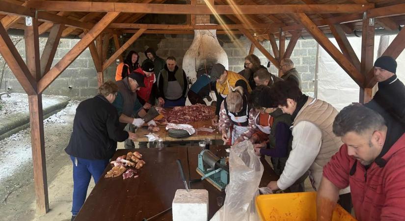 Alsónána összefogott, 140 kilós disznót vágtak le szombaton