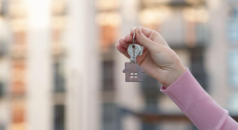 Egy nap alatt, 24 millióért kelt el a csongrádi panel