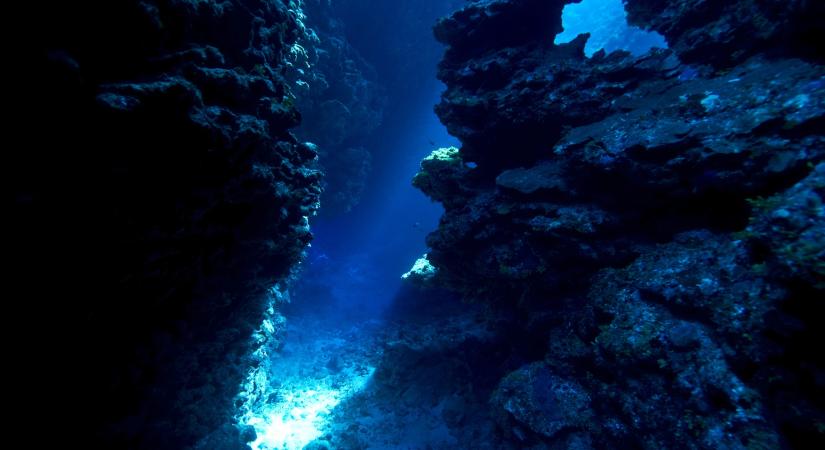 Kutatók több ezer élő óriás tojásra bukkantak egy ősi víz alatti vulkánban