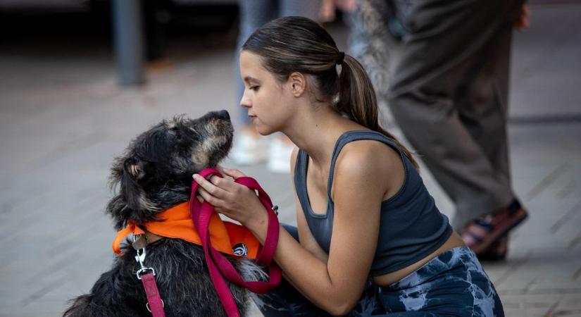 Az élet sava-borsa, ahogy Pezzetta Umberto fotóriporter kollégánk látta (galéria)