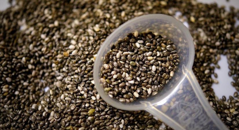 Miért lett világsztár a chiamag?