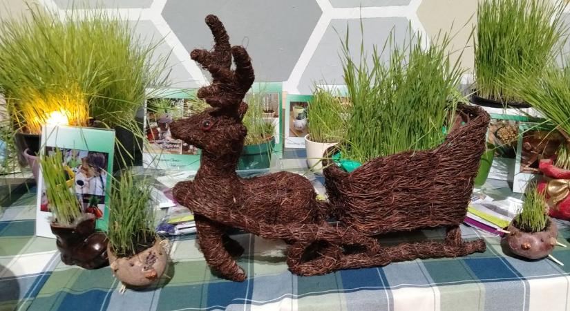 Hagyomány, egészség, közösségépítés (videó)