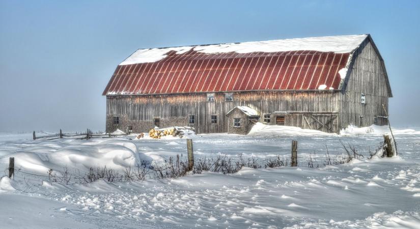 A legjobb olcsó téli ólrendezési trükkök