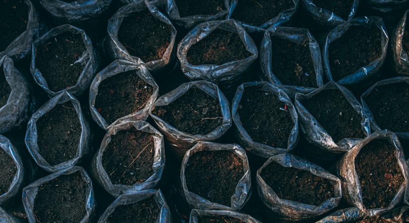 Egy úttörő geológus, Sümeghy József élete és munkássága