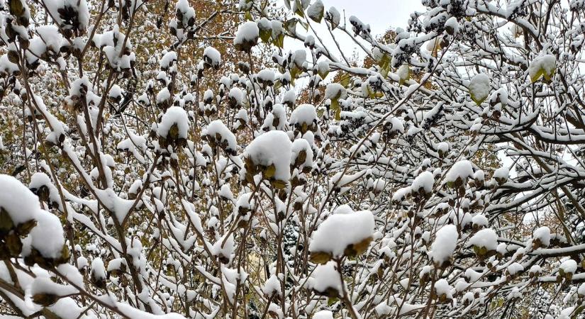 Ez még csak a kezdet, komoly hóhelyzet körvonalazódik