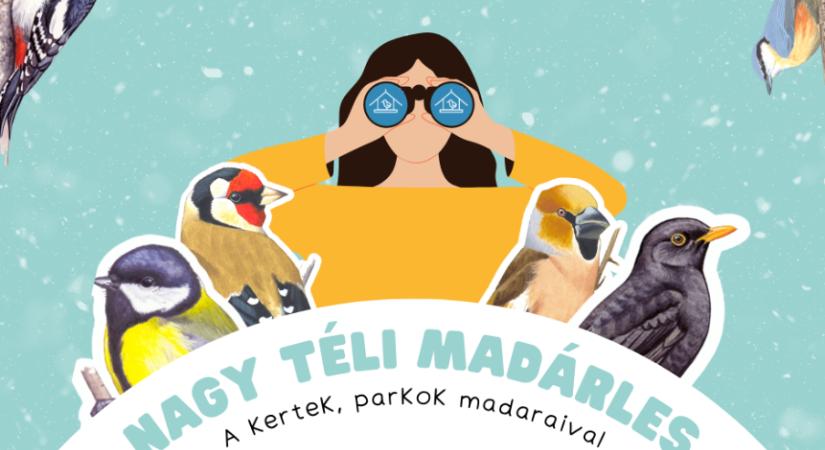 Idén is kérik a lakosság segítségét a madarászok