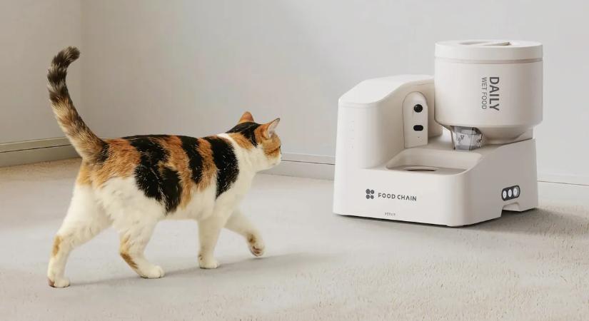 Figyelem! Megérkezett minden macskatartó vágyálma