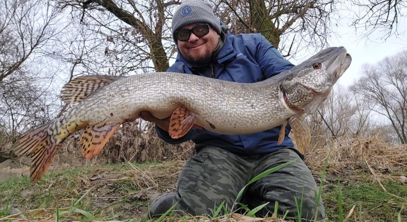 Óriási csuka akadt horogra a Sajón