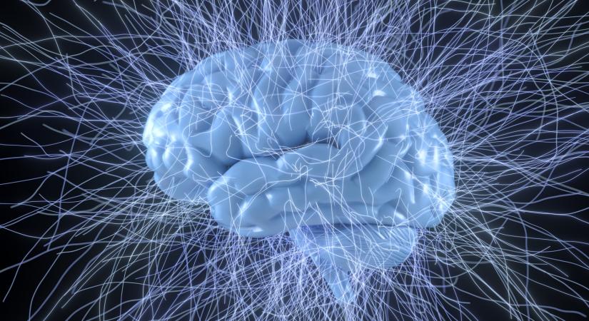 Ekkor kezdődik valójában a felnőttkor – később, mint gondolnád