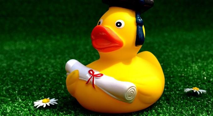 Mit érdemes tudni a mesterszakos felvételiről?