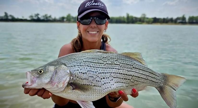 Két hatalmas rekordhalat fogtak Magyarországon