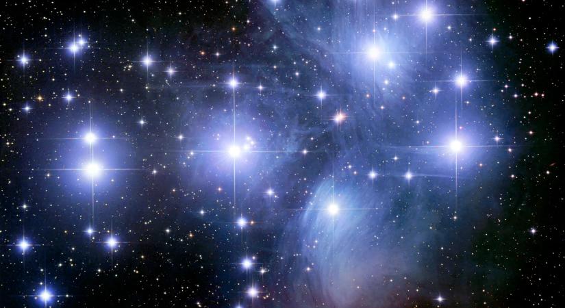 A Fiastyúk titkos családja