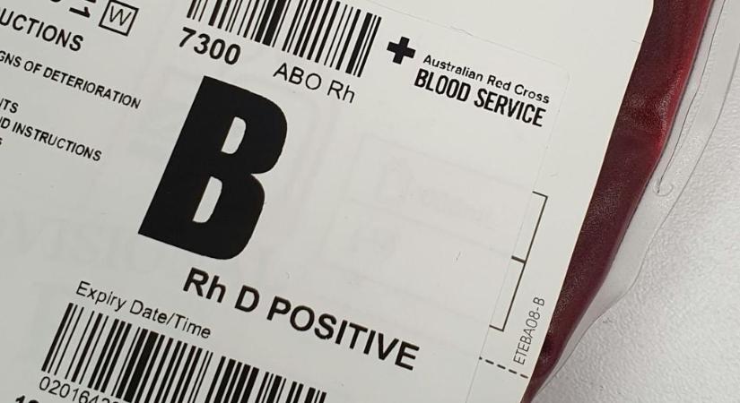 Létezik ideális vércsoport? Íme az A, B, AB és 0-ás vércsoportok előnyei és hátrányai